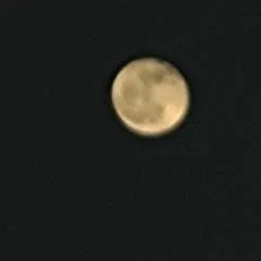 Jorge photo on Jungo Live