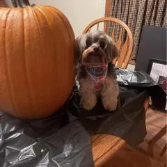 Juliegr photo on Jungo Live