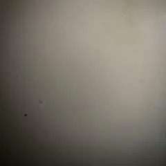 Maddy photo on Jungo Live