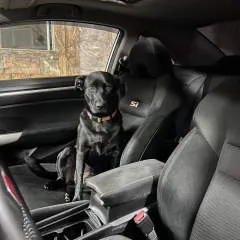 Brian photo on Jungo Live