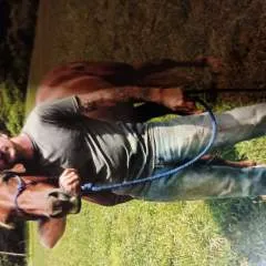 Peggreciever photo on Jungo Live