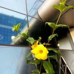 Imran photo on Jungo Live