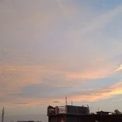 Kiki photo on Jungo Live