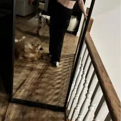 Melissa photo on Jungo Live