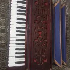 Mano photo on Jungo Live