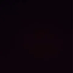 Dimsy photo on Jungo Live