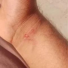 Jani ........ photo on Jungo Live