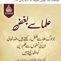 Ayli photo on Jungo Live