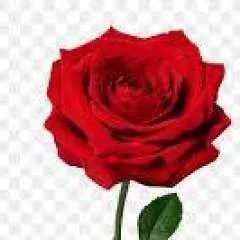 Bdboy photo on Jungo Live