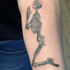 Stoneforce........ photo on Jungo Live