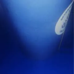 Sham photo on Jungo Live