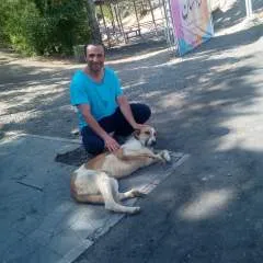 Reza photo on Jungo Live