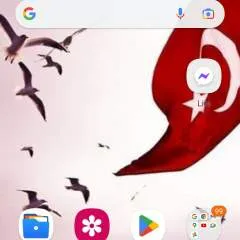 Igorio photo on Jungo Live