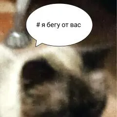 Baba photo on Jungo Live