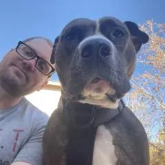 Dillo........ photo on Jungo Live