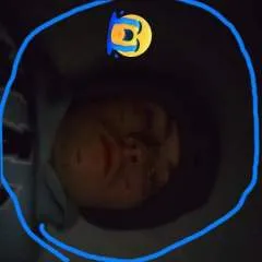 Jake photo on Jungo Live