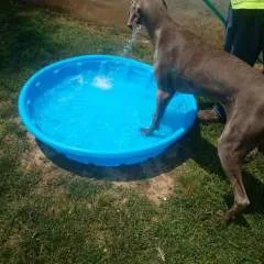 Perez Nathan photo on Jungo Live