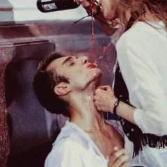 Beaver photo on Jungo Live