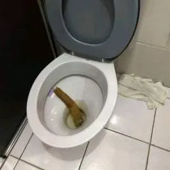 Henriqhechuparola photo on Jungo Live