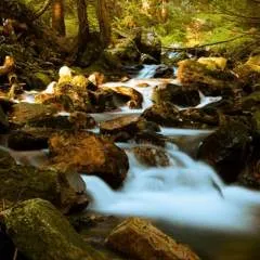 Tano photo on Jungo Live