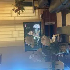 Nicky photo on Jungo Live