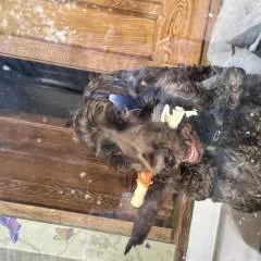 Wldnlad25 photo on Jungo Live