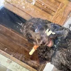 Wldnlad25 photo on Jungo Live