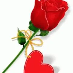 Azir Rachael photo on Jungo Live