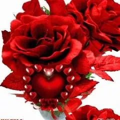 Azir Rachael photo on Jungo Live