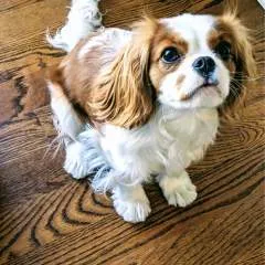 Jessica Mark photo on Jungo Live