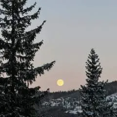 Katty photo on Jungo Live