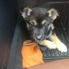 Hotboy photo on Jungo Live