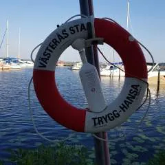 Shomudro photo on Jungo Live