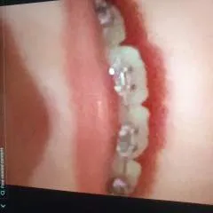 Russell photo on Jungo Live