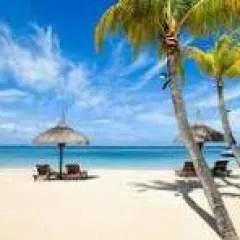 John S. photo on Jungo Live