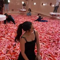 Bisub photo on Jungo Live