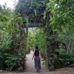 Naya87 photo on Jungo Live