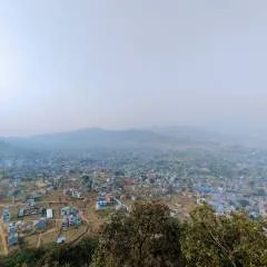 Nick photo on Jungo Live