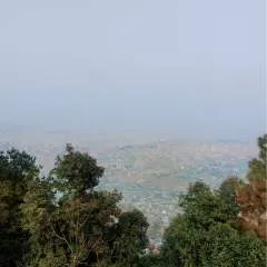 Nick photo on Jungo Live