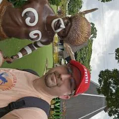 Boardwiev photo on Jungo Live