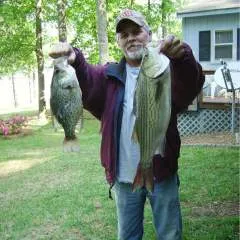 Greg photo on Jungo Live