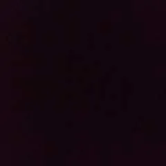 Chrisandkim photo on Jungo Live