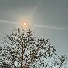 Foxycm photo on Jungo Live