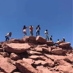 Tj photo on Jungo Live