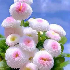 Claudiathompson........ photo on Jungo Live