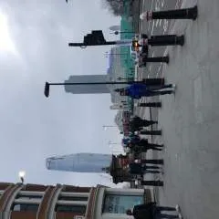 Zebra photo on Jungo Live