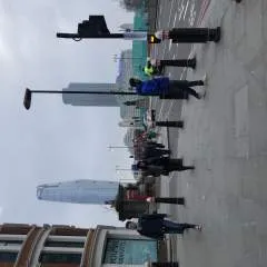 Zebra photo on Jungo Live