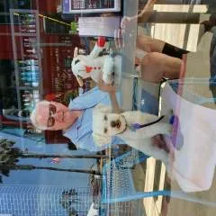 Wayne photo on Jungo Live