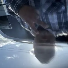 Moreno.... photo on Jungo Live