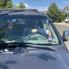 Shadowsubbywolf photo on Jungo Live